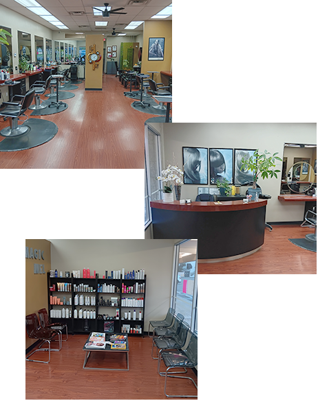 Magic Mel interior salon tierrasanta