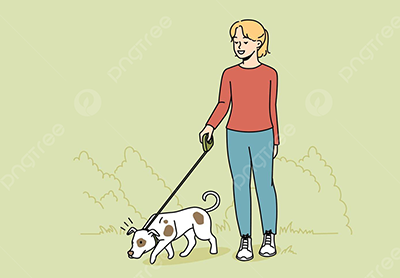 Dog on a leash walking drawing