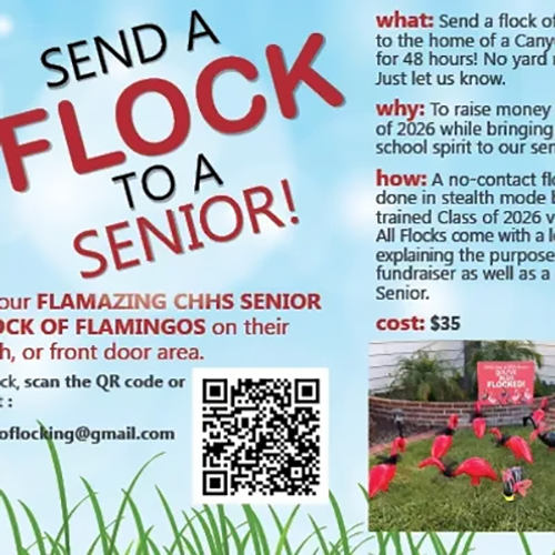 Info about sending a flock to senior students