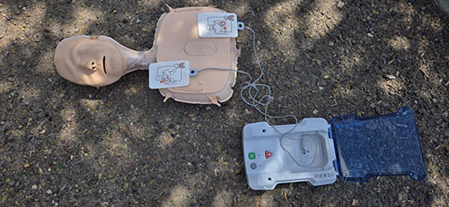 life saving dummies